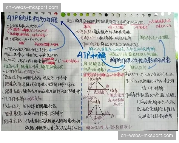 分析：二传的“隐形”价值——用高阶数据解读世界顶级二传的组织效率